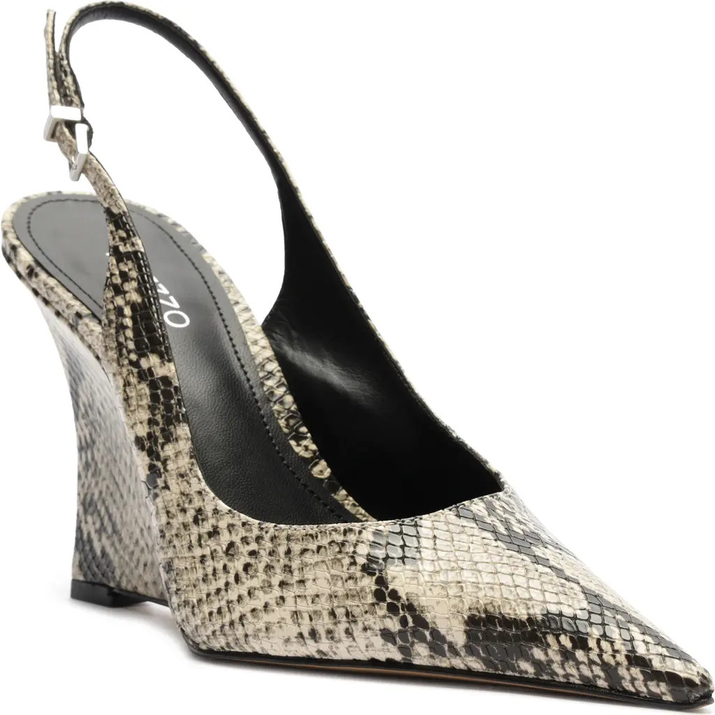 Rowen Slingback Pointed Toe Wedge Pump (Women) | Nordstrom