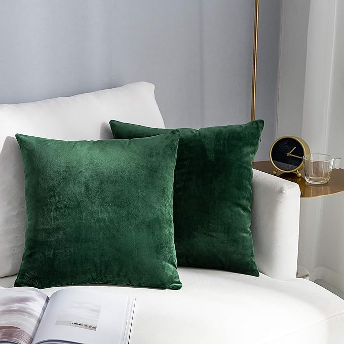 Stellhome Cozy Velvet Pillow Covers Square Decorative Throw Pillow Covers for Bed Couch Sofa Benc... | Amazon (US)