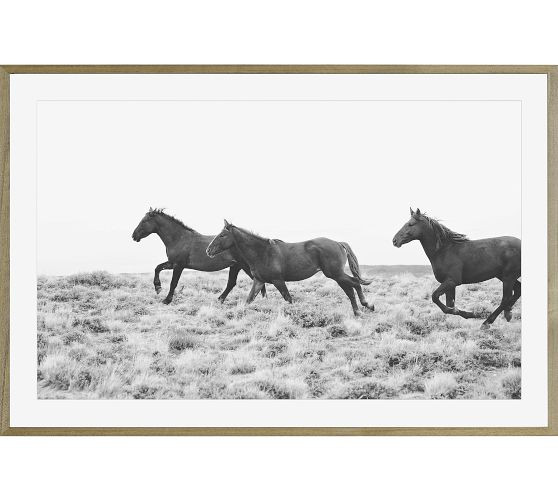 American Wild Horses by Jennifer Meyers | Pottery Barn (US)