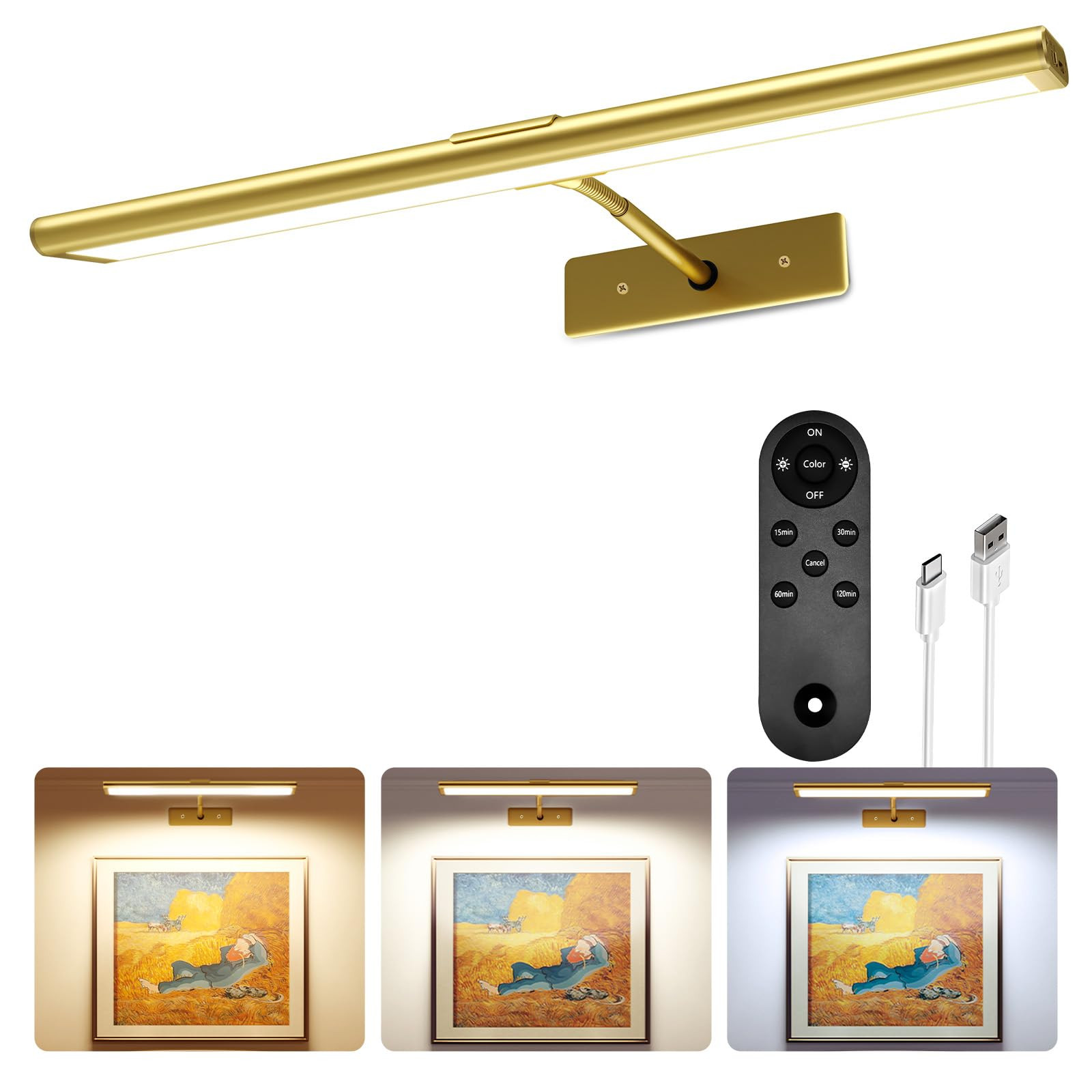 EZVALO Picture Light for Wall, 16'' Rechargeable 4800mAh Battery Lights Wireless Remote, Dimmable... | Amazon (US)