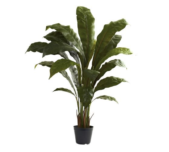 Faux Potted Birds Nest Plant | Pottery Barn (US)