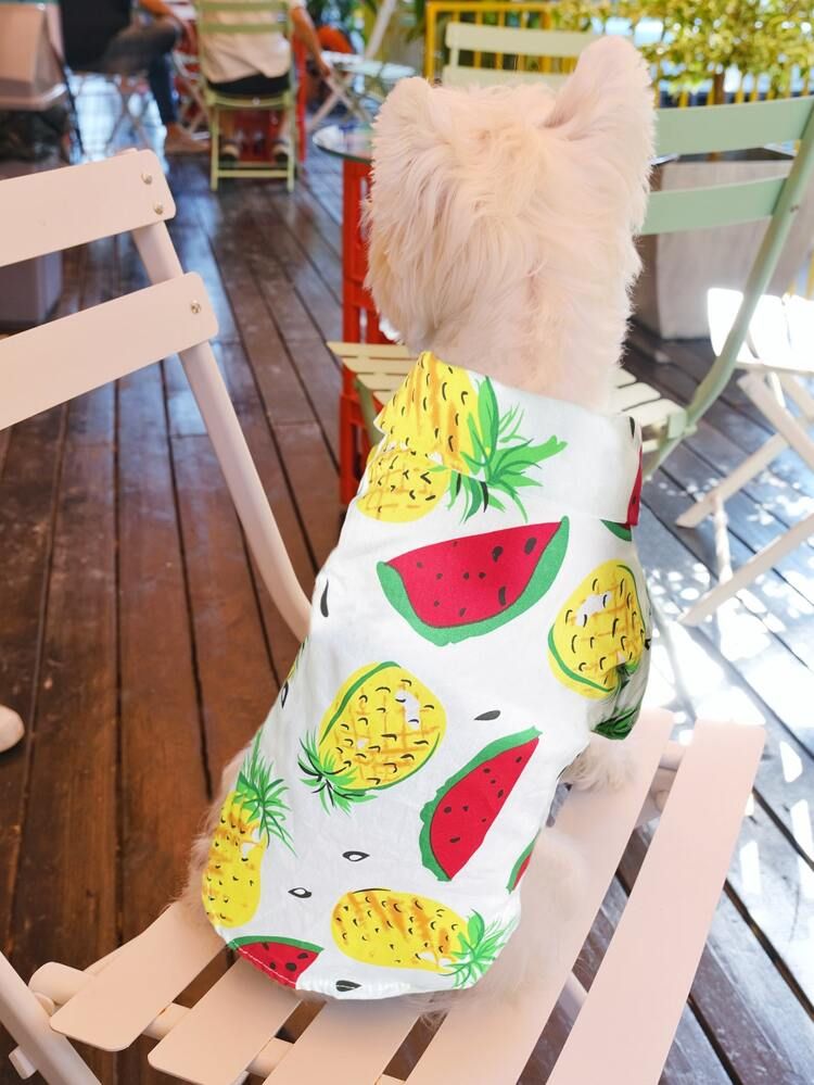 Fruit Print Pet Shirt | SHEIN