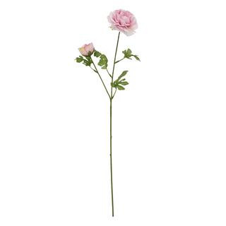 Purple Ranunculus Stem by Ashland® | Michaels | Michaels Stores