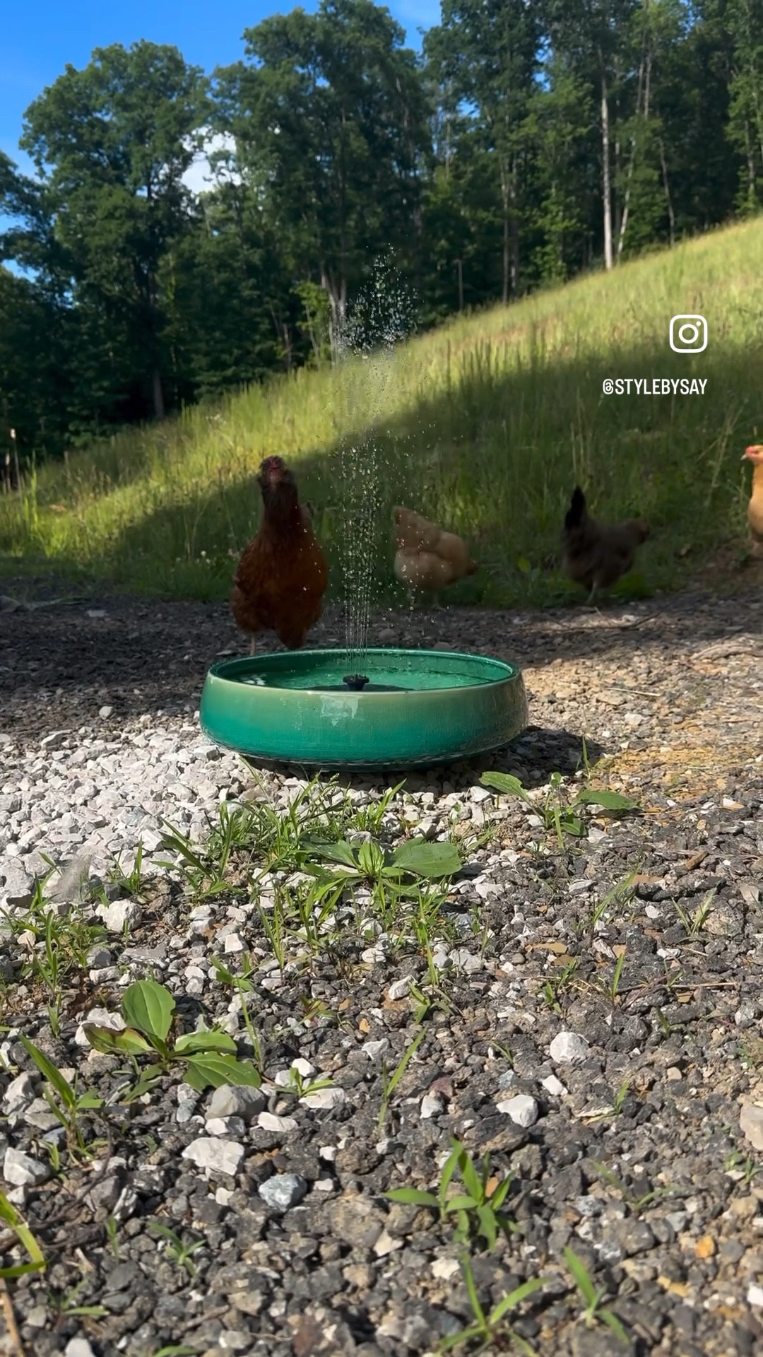 Solar fountain! Love this Amazon find, great last minute Father’s Day gift idea for a bird bath 

#LTKHome #LTKVideo