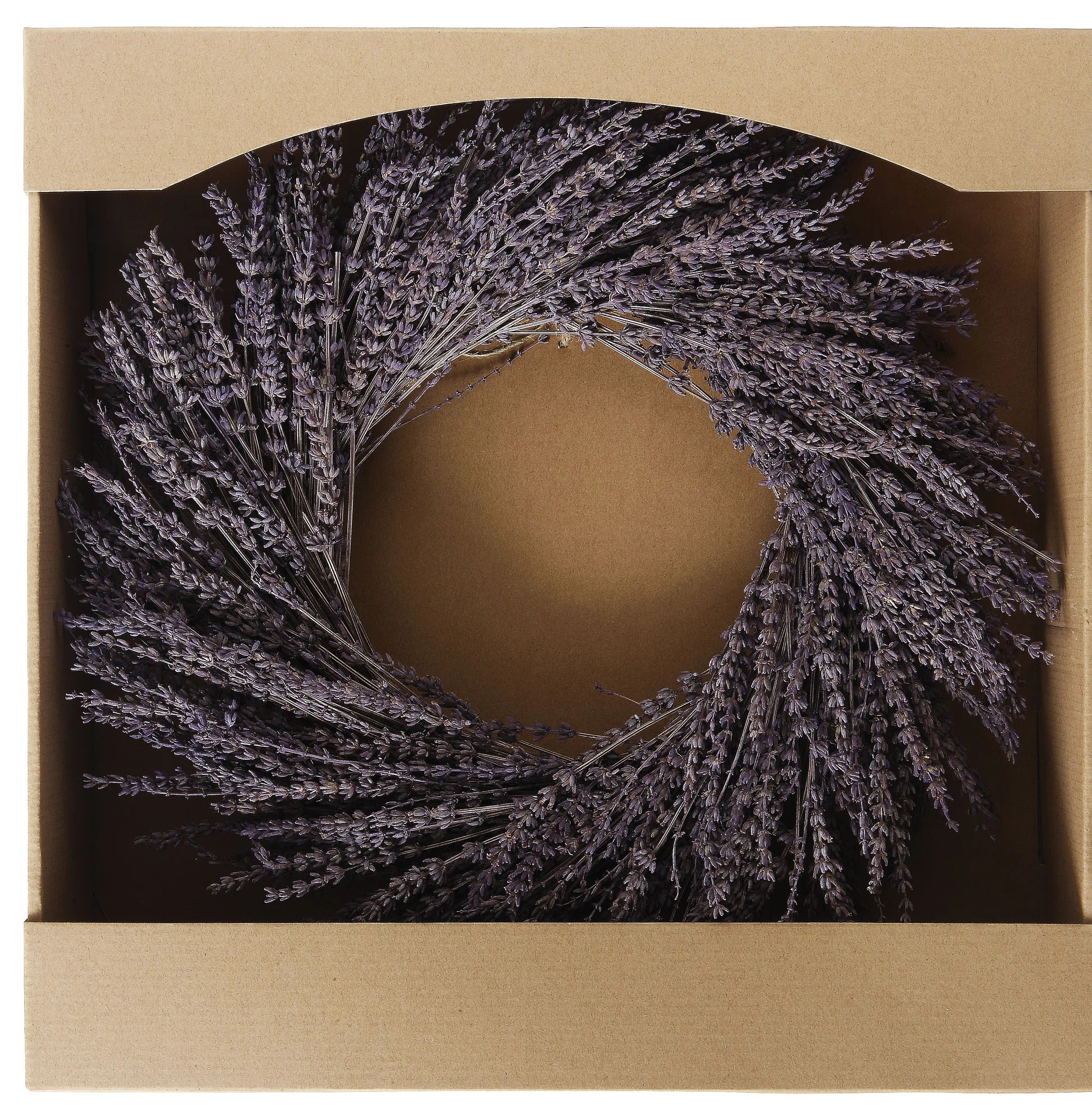 Primrue Preserved 17" Floral Wreath | Wayfair | Wayfair North America