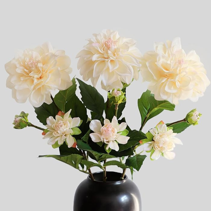 KBREE Dahlia Artificial Flowers, 3 Pcs Real Touch Cream White Flowers, 24.3” Long Stem Faux Dah... | Amazon (US)