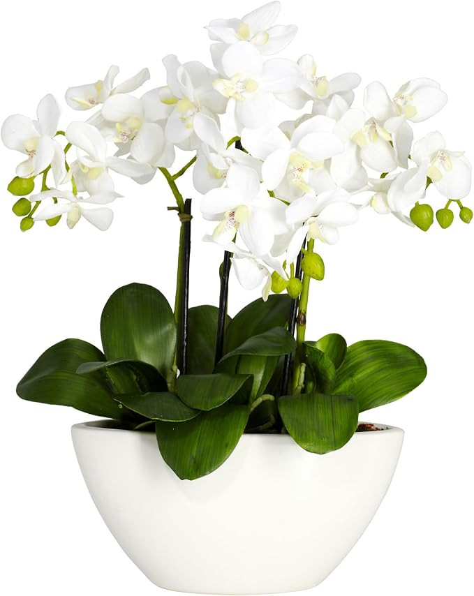 Nearly Natural Phalaenopsis Silk Flower Arrangement | Amazon (US)