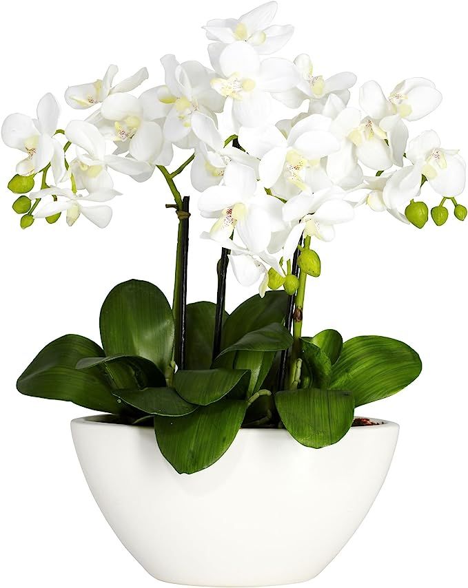 Nearly Natural 4804 15in. Phalaenopsis Silk Flower Arrangement,White,14.5" x 11" x 4.5" | Amazon (US)