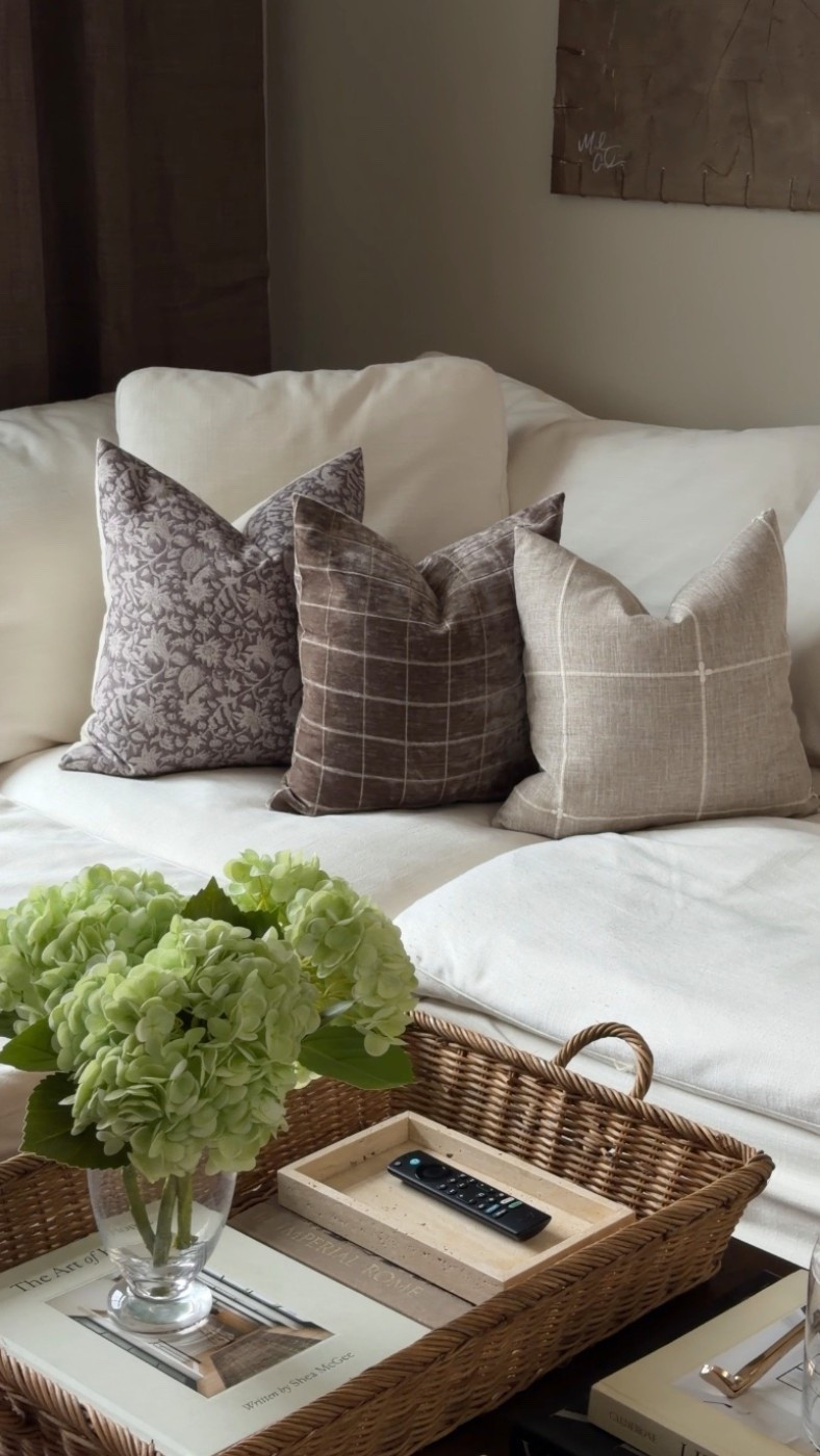 The throw pillow combo on my couch! ☁️

#LTKSpringSale #LTKHome #LTKmorningroutine