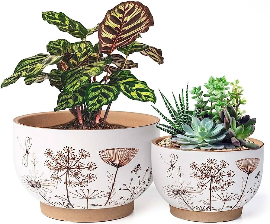 YBX 8 Inch + 6 Inch White&Terracotta Flower Pots, Succulent Ceramic Plant Pots with Drainage Hole... | Amazon (US)
