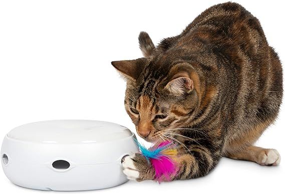 PetFusion [New & Improved Ambush Interactive Electronic Cat Toy w/Rotating Feather. (Quiet, 3 Mod... | Amazon (US)