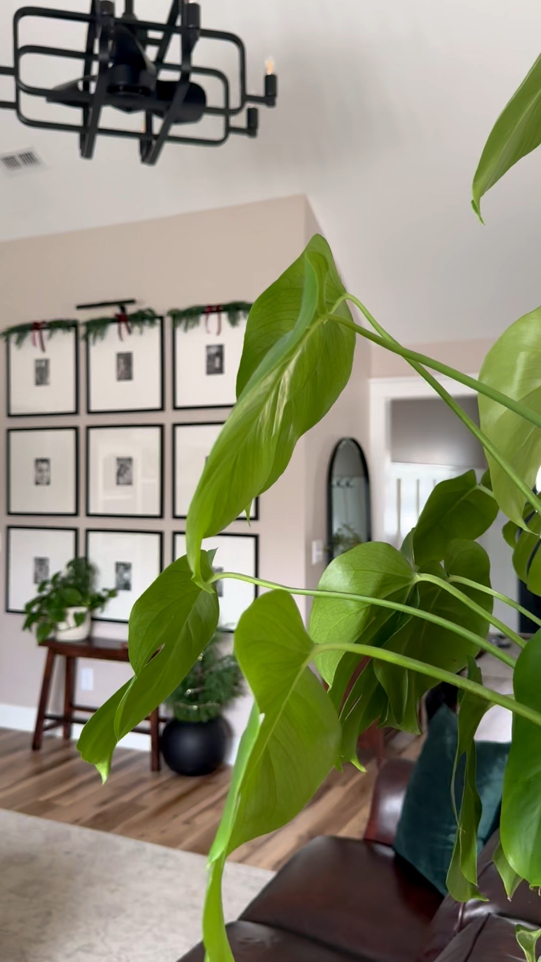 My Christmas gallery wall is up and giving all the cozy holiday vibes ✨
Rounded up affordable frames + classic holiday items for you

#LTKHome #LTKFindsUnder100 #LTKHoliday