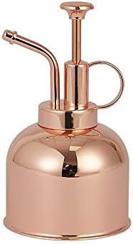 Globalstore Stainless Steel Watering Can, Upgrade Mini Plant Spray Mister 10oz/300ml Watering Pot... | Amazon (US)