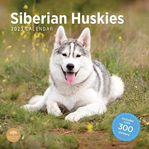 2023 Siberian Huskies Monthly Sticker Wall Calendar by Bright Day, 12 x 12 Inch, Cute Puppy Dog P... | Amazon (US)