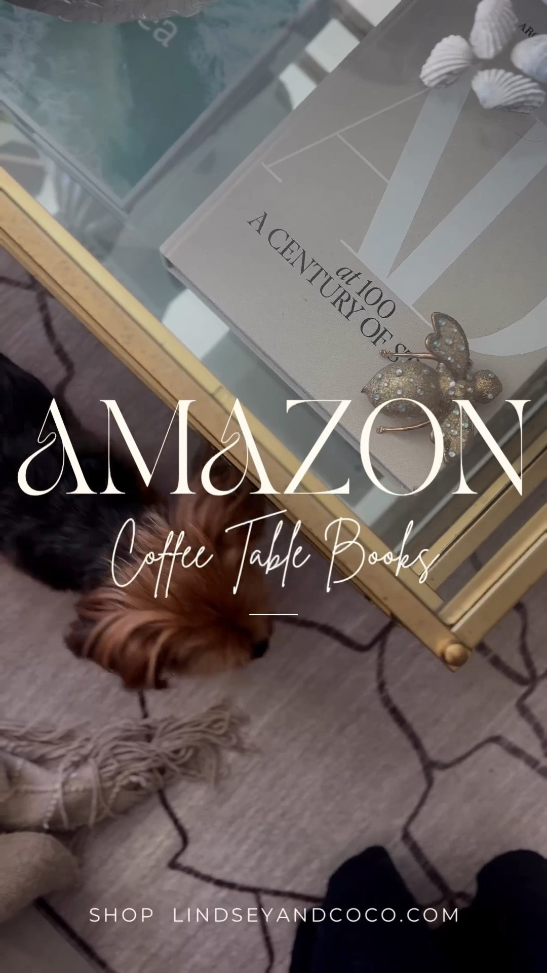 Coffee Table Books for dog lovers. 



#LTKHome #LTKGiftGuide #LTKFindsUnder100