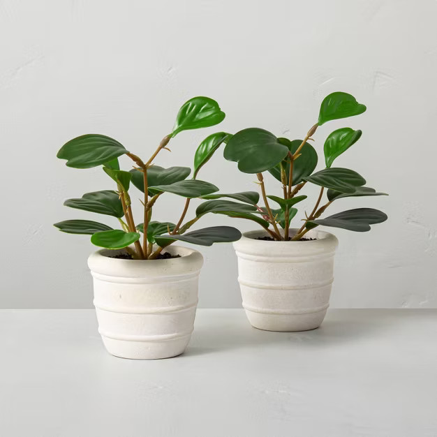 2ct Faux Mini Hoya Heart Potted Plant Set - Hearth & Hand™ with Magnolia | Target