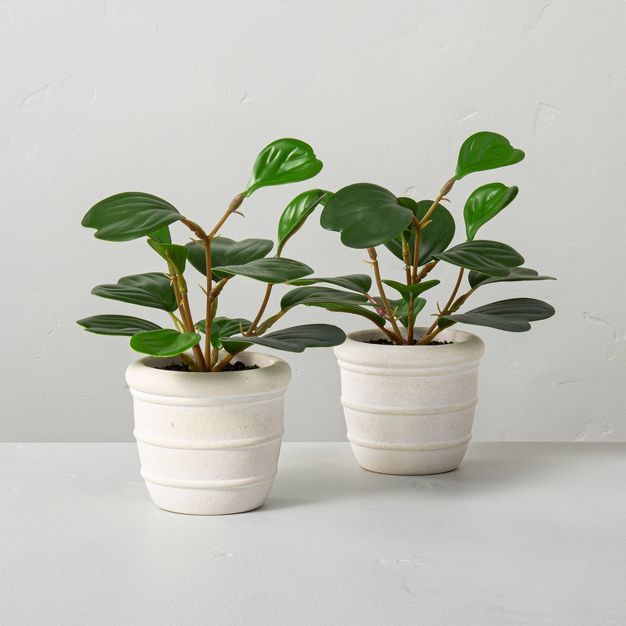 2ct Faux Mini Hoya Heart Potted Plant Set - Hearth &#38; Hand&#8482; with Magnolia | Target