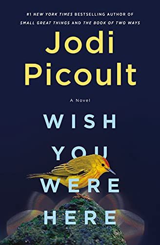 Wish You Were Here: A Novel | Amazon (US)