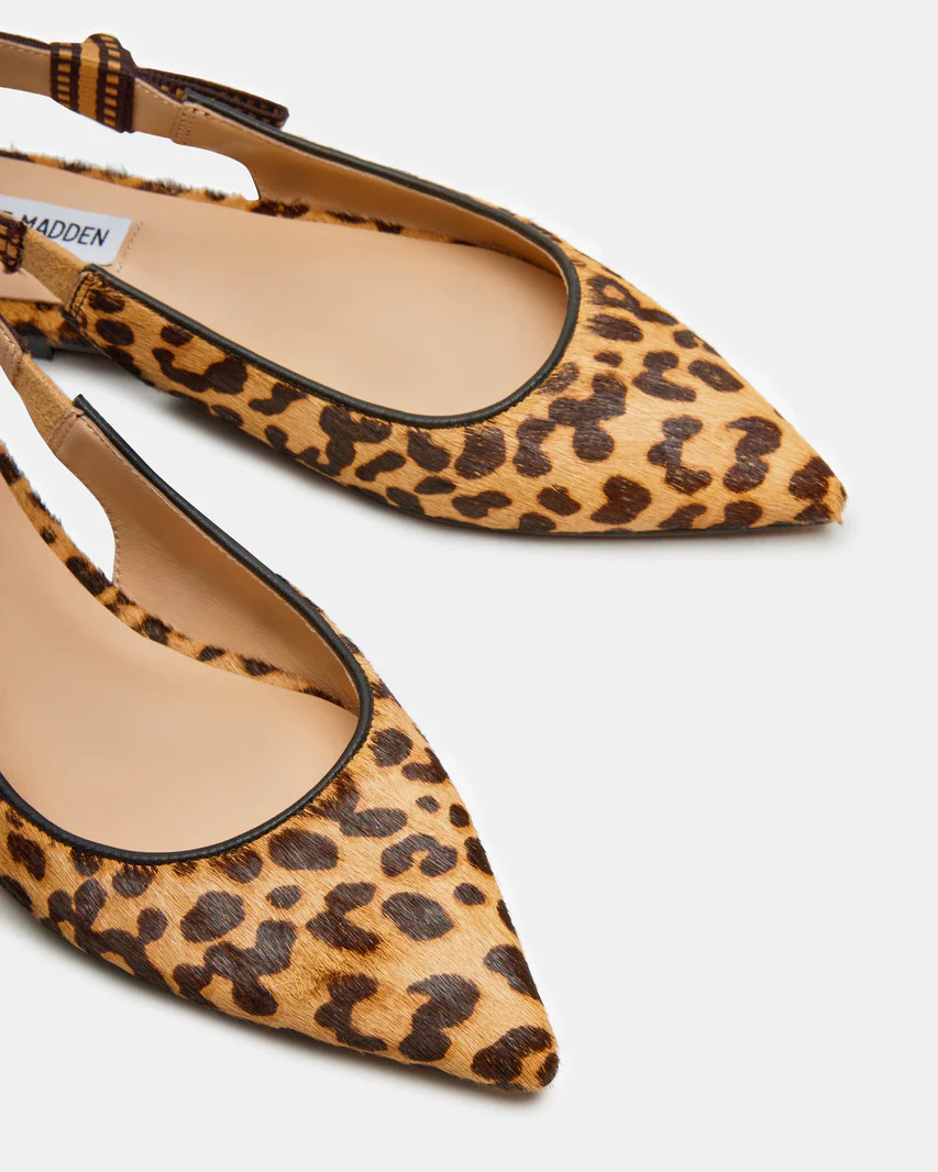 OLSEN Leopard Slingback Pointed Toe Ballet Flat | Women's Flats | Steve Madden (US)