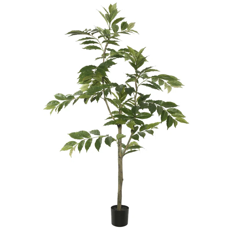 Nandina Foliage Tree in Pot | Wayfair North America