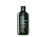 Paul Mitchell Tea Tree Lavender Mint Moisturizing Shampoo | Amazon (US)