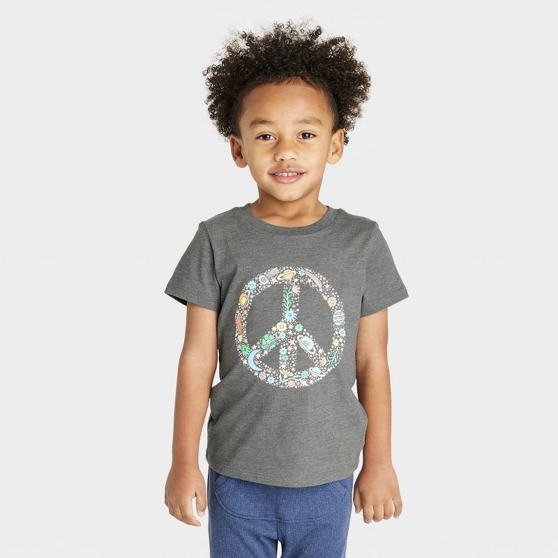Toddler Boys' Short Sleeve Graphic T-Shirt - Cat & Jack™ Charcoal Gray | Target