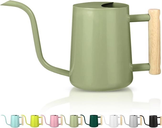 Watering Can Indoor Plants, 35oz Small Watering Can Indoor Stainless Steel Metal Watering Can Mod... | Amazon (US)