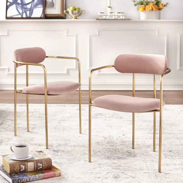 Carrigan Solid Back Arm Chair (Set of 2) | Wayfair North America