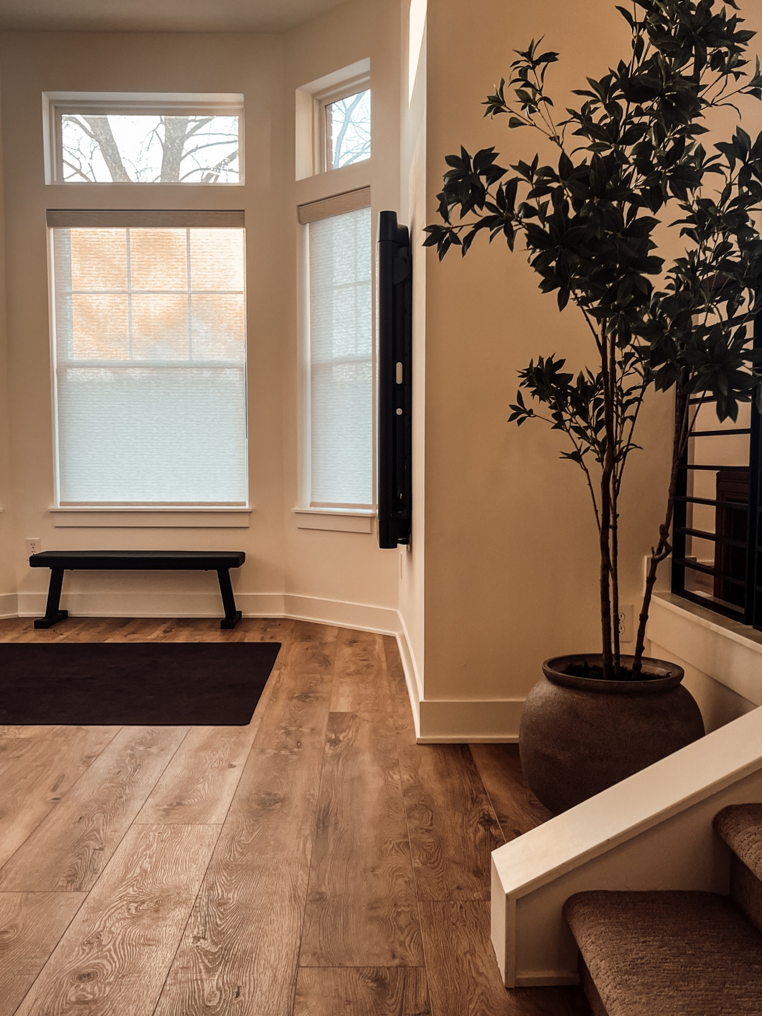 Home Gymm

#LTKstyletip #LTKhome #LTKfindsunder100