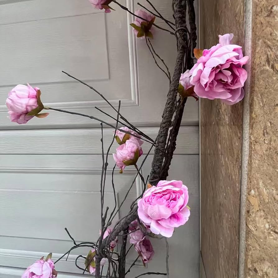 Brand: SHMDYHA | Amazon (US)