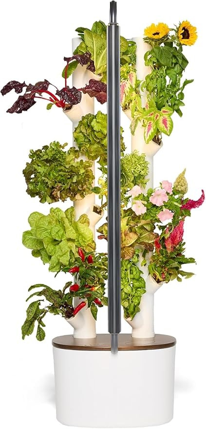 Gardyn Studio Hydroponics Growing System Kit & Vertical Indoor Garden Planter | Smart Herb Garden... | Amazon (US)