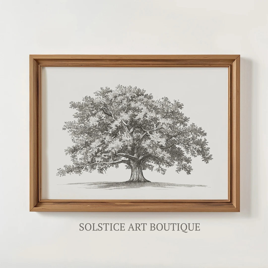 Vintage Oak Tree Sketch / Neutral Botanical Drawing / Printable Vintage Drawing | Etsy (US)