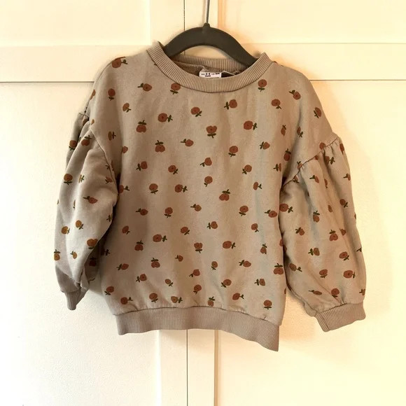 Zara Toddler Girl Flower Crew Neck Sweatshirt W/ Balloon Sleeves Size 3-4 Years | Poshmark