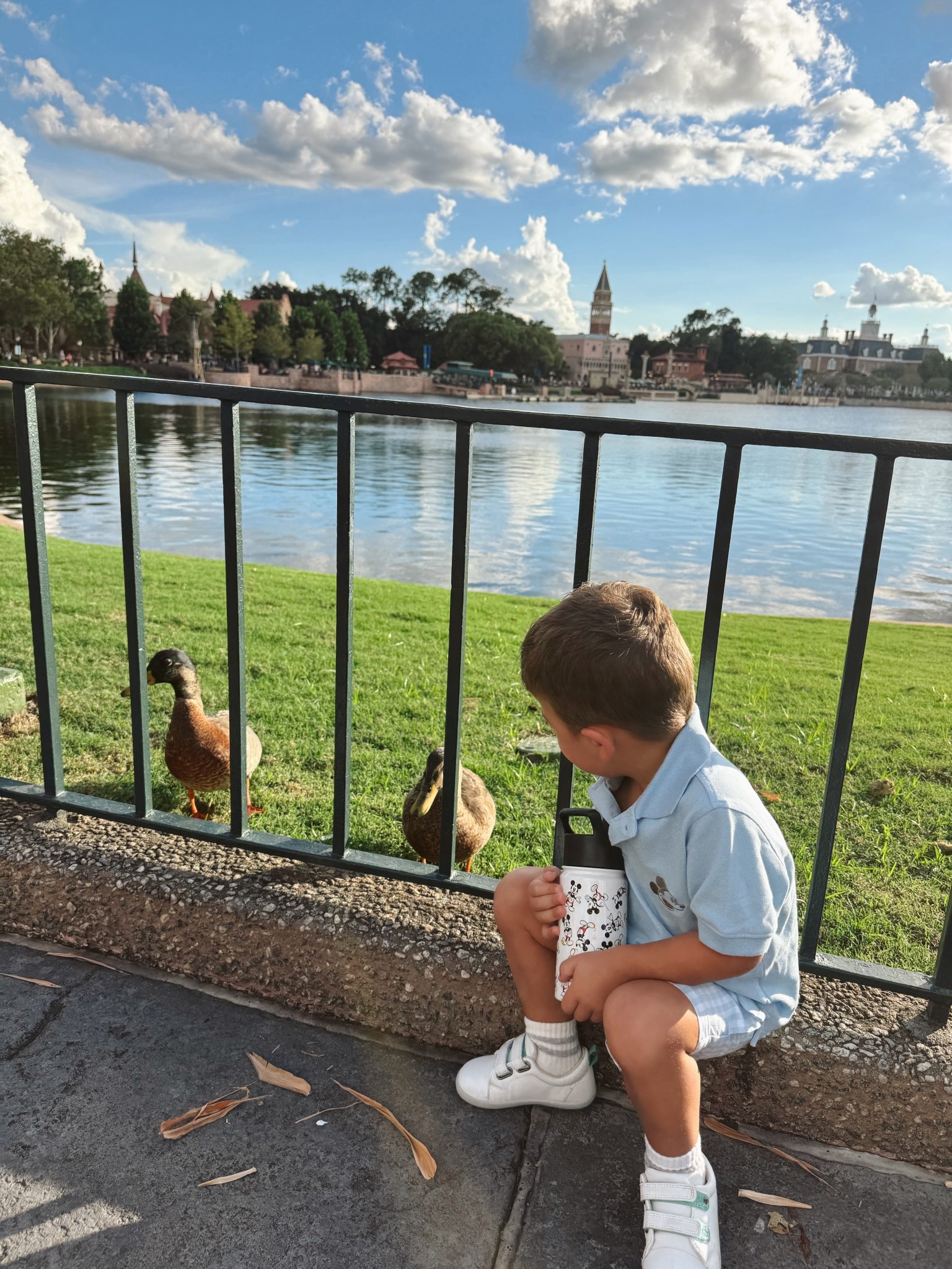 Disney outfit inspo - Conrad is wearing size 2T. Sharing more Disney outfits we brought with us for him! 

#LTKStyleTip #LTKKids #LTKTravel