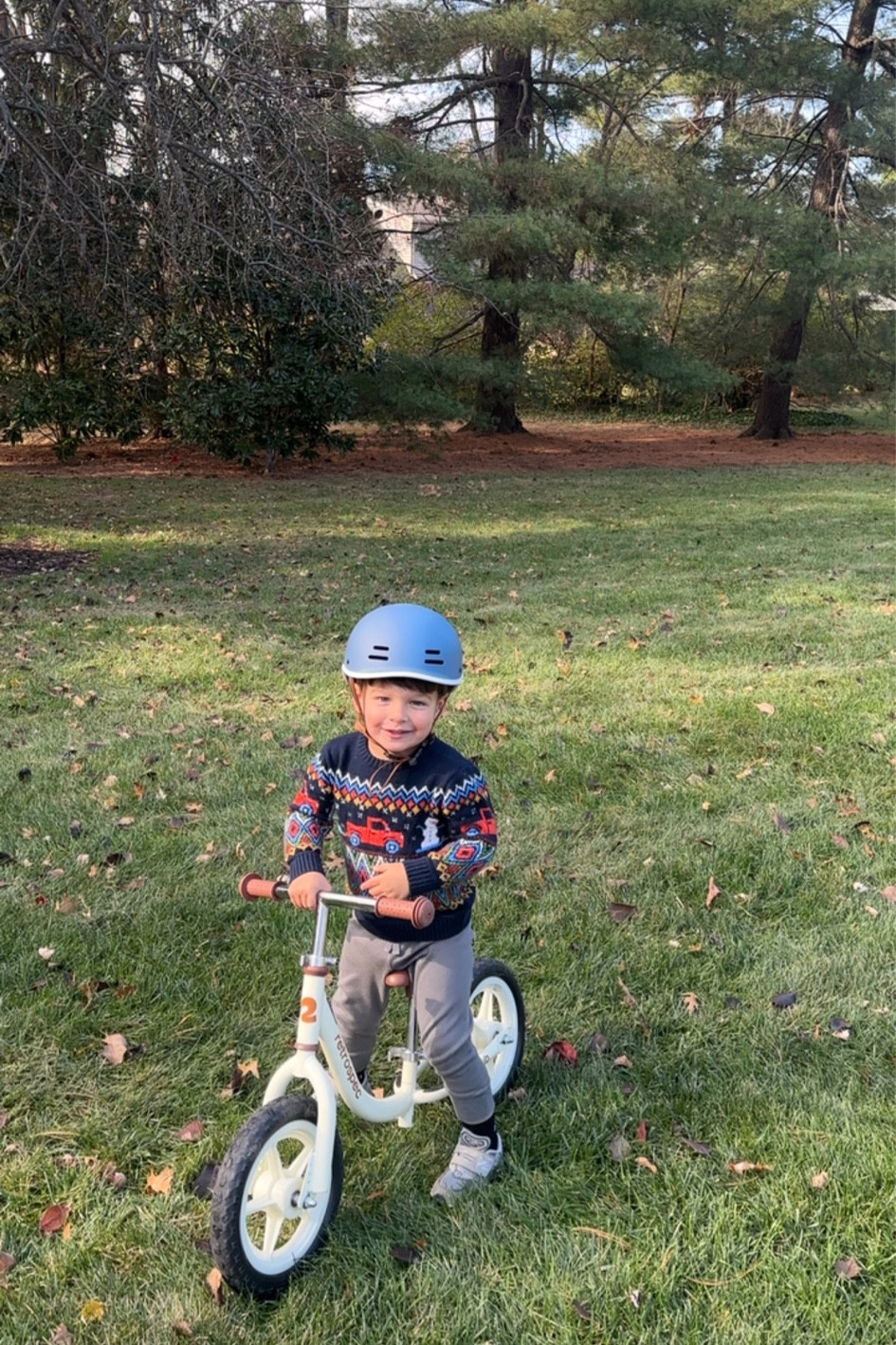 Toddler balance bike, toddler helmet, toddler Christmas gift

#LTKBaby #LTKKids #LTKHoliday