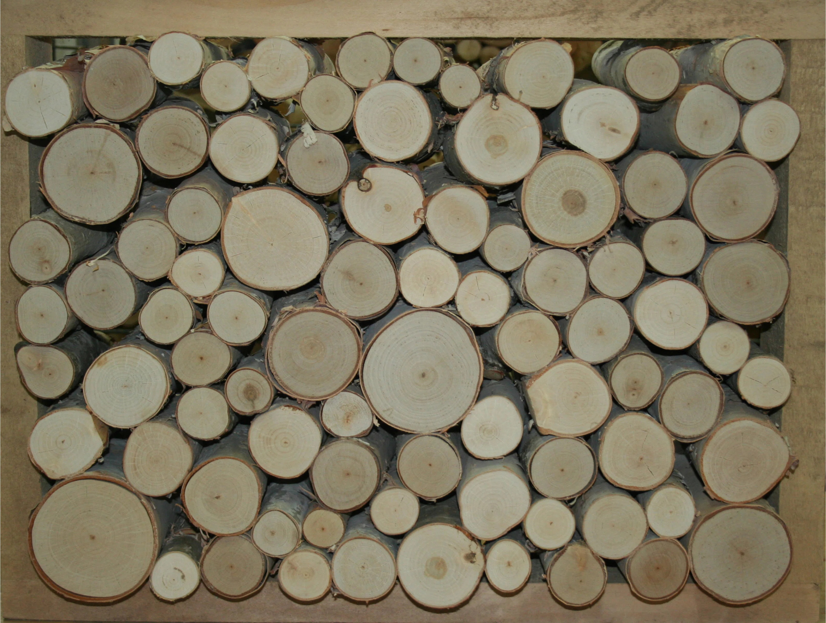 Birch Fill a Space Logs Wall Décor | Wayfair North America