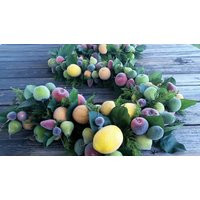 Sugared Fruit Garland Holiday Christmas Decor | Etsy (US)