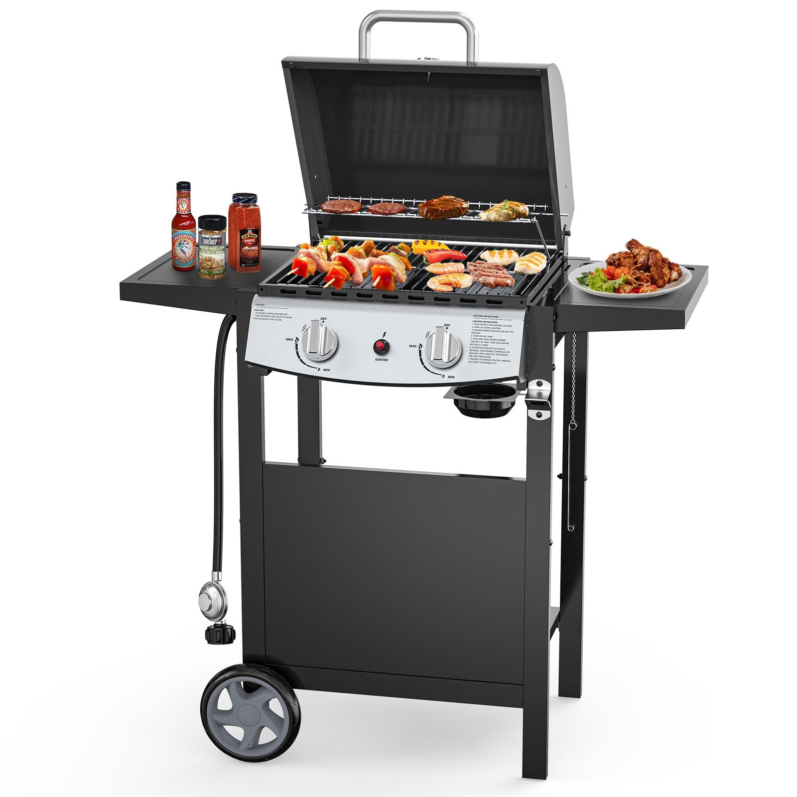 2-Burner Propane Gas BBQ Grill, 20,000 BTU Stainless Steel Grill with Side Shelves and Wheels, Po... | Amazon (US)
