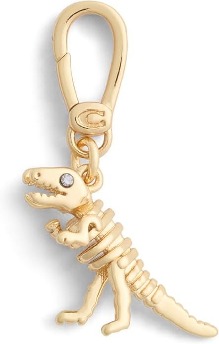 COACH Women's Collectible Signature Jewelry Charm | Amazon (US)