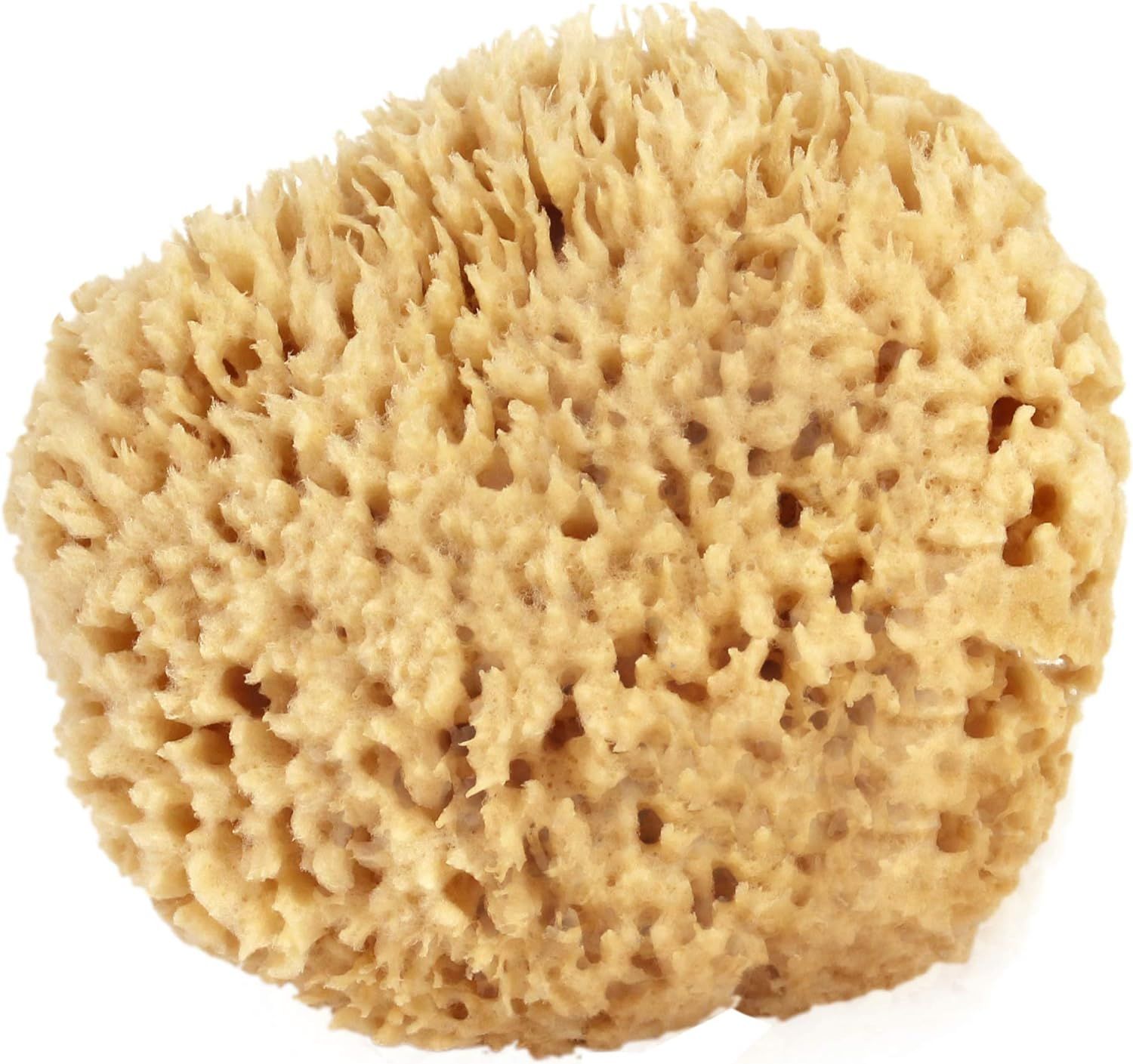 Sea Wool Sponge 4-5" (Small) by Bath & Shower Express ® Natural Authentic Renewable Resource for... | Amazon (US)