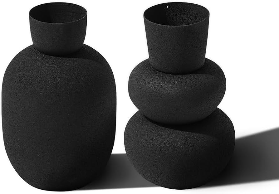 LB2 Black Metal Vase Set of 2, Small Flower Vases for Home Rustic Decor, Modern Farmhouse Decor,S... | Amazon (US)
