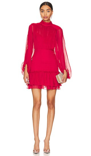 Leilani Long Sleeve Mini Dress in Hibiscus | Revolve Clothing (Global)