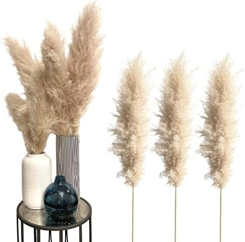 Maison Moderne Boho Chic Decor Fluffy Pampas Grass Decor Tall- 4 Feet (Pack of 3) - Dried Pompous... | Amazon (US)