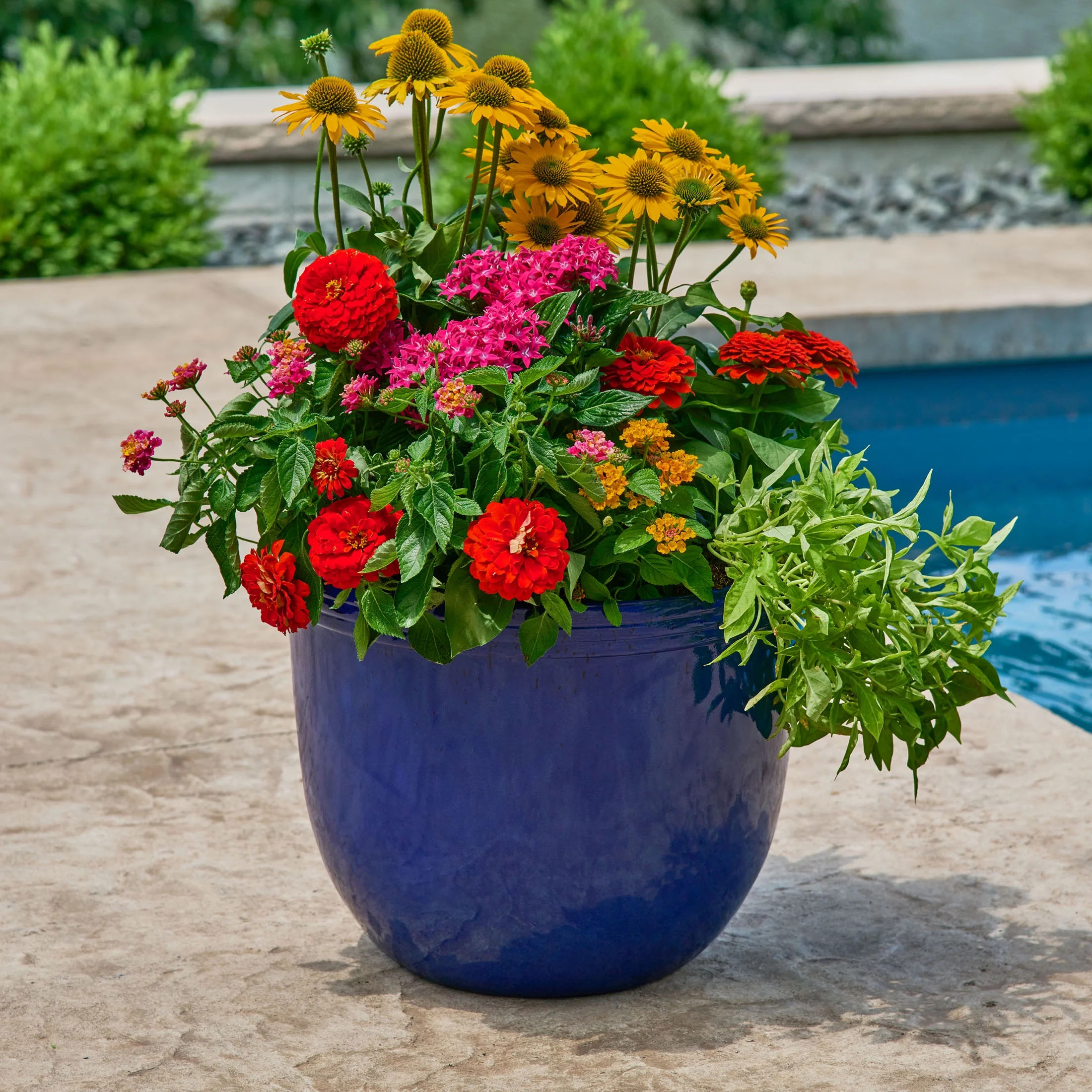 MEADOW 16`` PLANTER | Walmart (US)