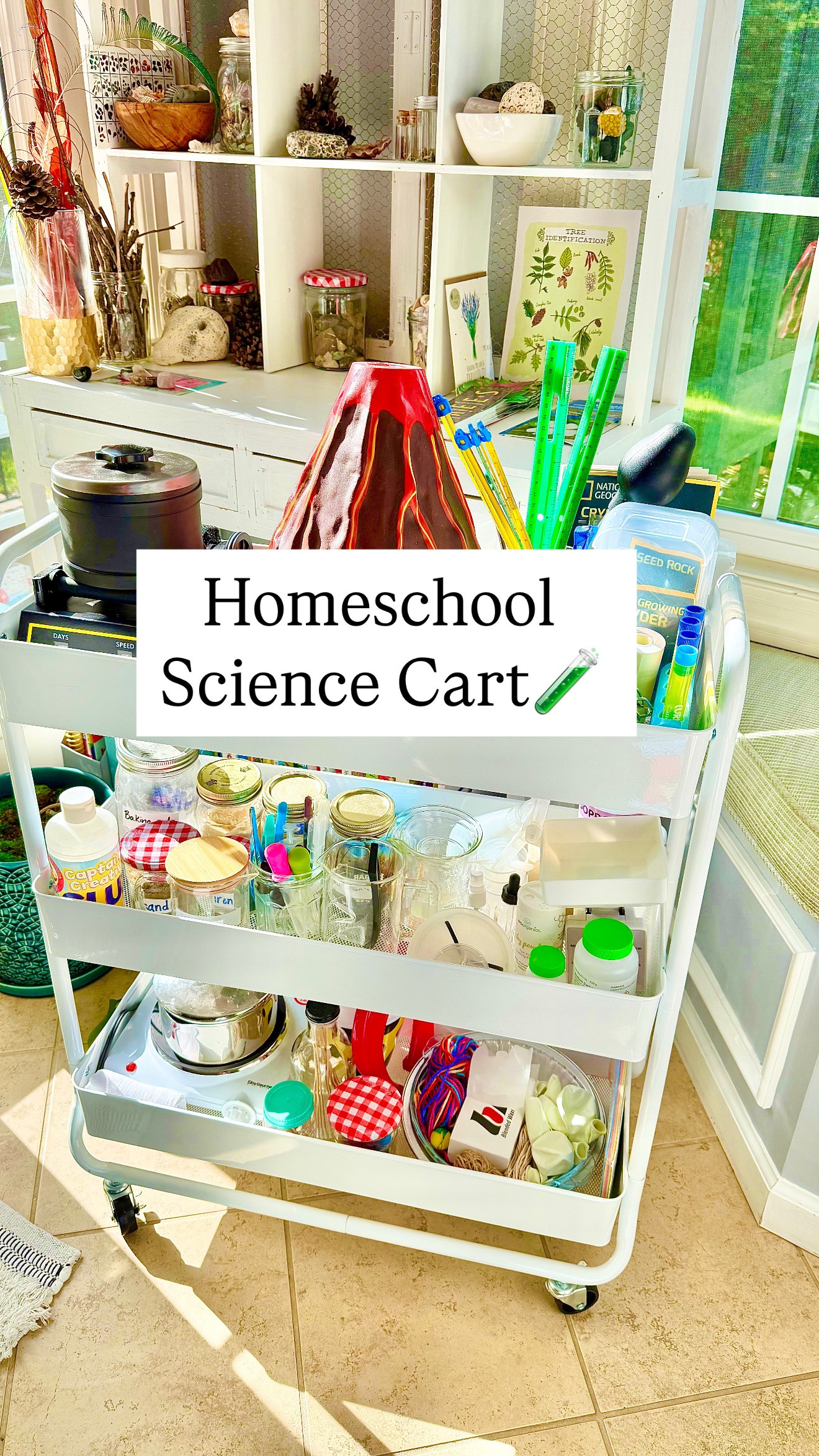 These are the items we keep on our homeschool science cart. Having this cart handy means easier science experiments for us! 

#LTKKids #LTKFamily