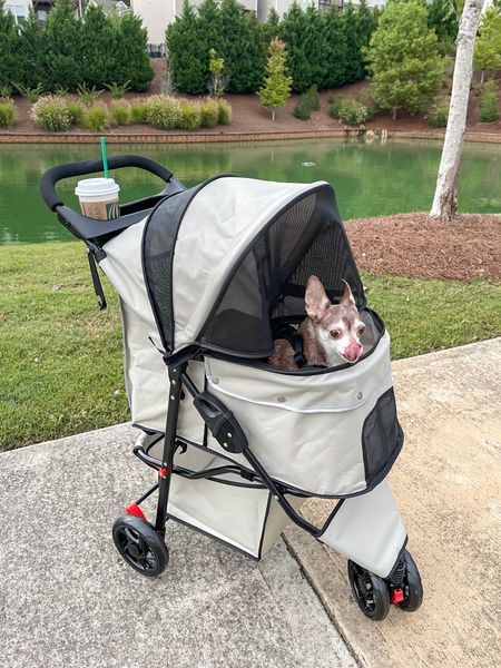 Morning walk! 

Dog stroller, dog walk, pet stroller, dog mom

#LTKfamily #LTKfindsunder100 #LTKfitness