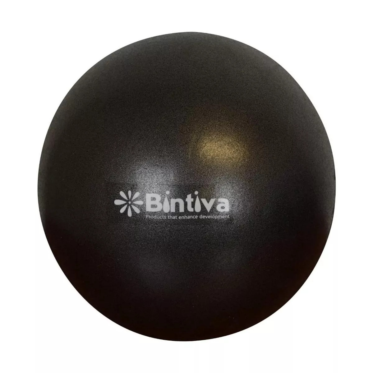Bintiva 9 Inch Pilates Core Ball Blue | Target