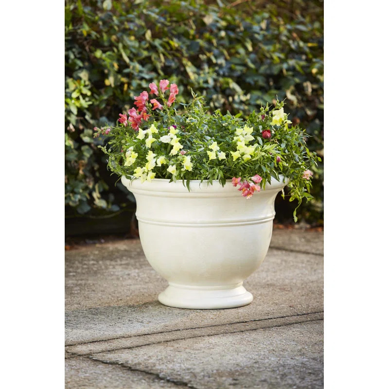 Southern Patio® 19" Jean Pierre Planter, Brownstone & Reviews | Wayfair | Wayfair North America
