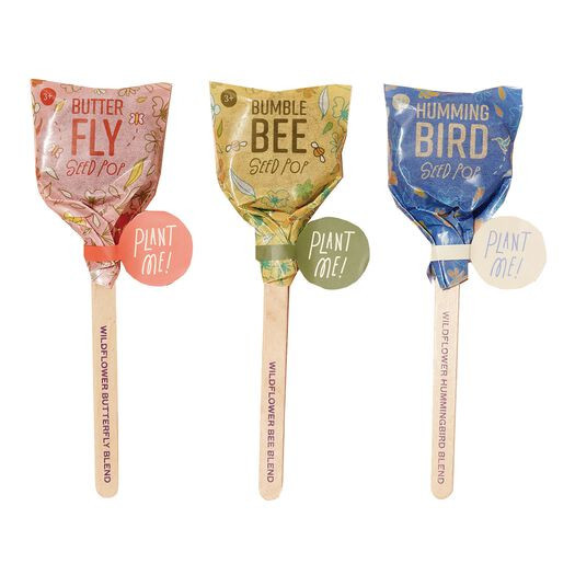Modern Sprout Pollinator Seed Lollipops Set of 3 by World Market | World Market