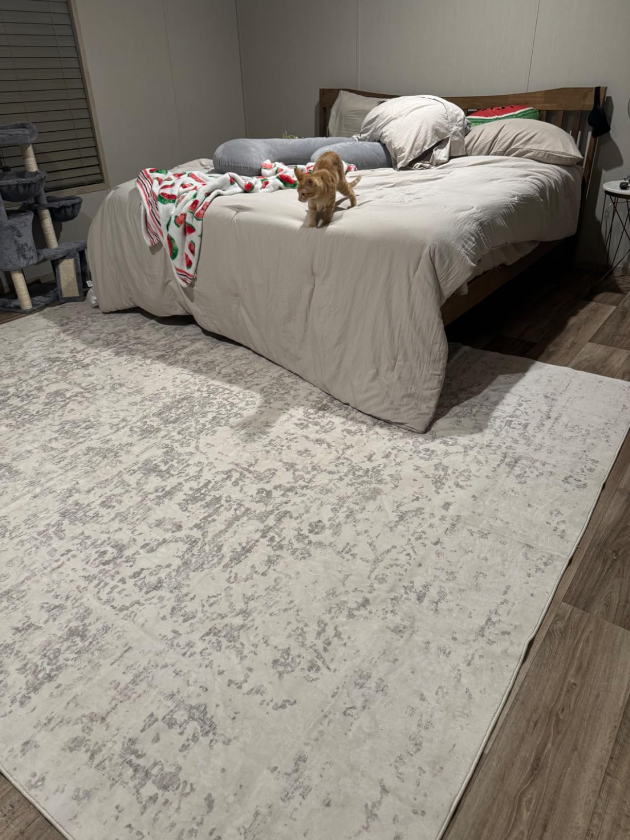 Washable Area Rug for Living Room - Stain Resistant Urtla Thin Rugs with Non Slip Rubber Backing ... | Amazon (US)